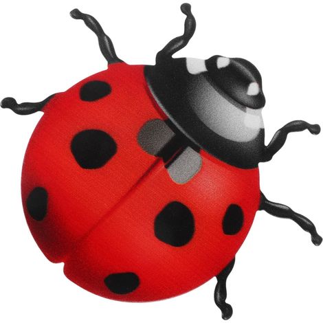 Décoration Murale Coccinelle En Fer Forgé Peinte À La Main Rouge 4.7 Pouces Pour Jardin Salon Balcon Extérieur Intérieur Idéal Pour Fêtes Et Cadeaux (1/5)