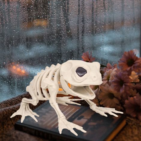 Squelette De Grenouille - Décoration Halloween En Plastique - Pour Intérieur Bureau Maison Fête Squelette Animal - 1 Pièce (1/5)
