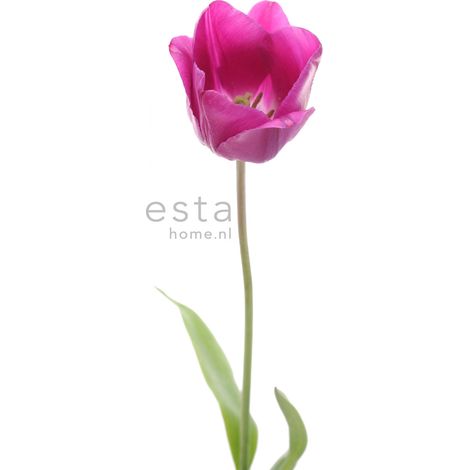 papier peint panoramique tulipe rose et vert - ESTAhome (1/5)