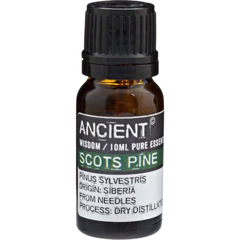 Kiefer - Ätherisches Öl 10 ml