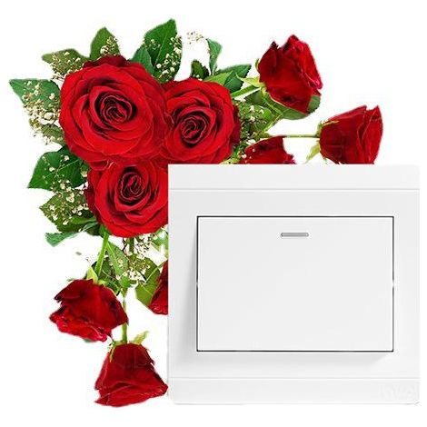 Lot de 12 stickers floraux roses autocollants muraux pour chambre, salon, entrée, dortoir, décoration intérieure adhésifs. (1/5)