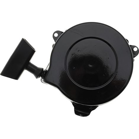 Lanceur complet compatible avec Briggs Stratton remplace 499706 (1/3)