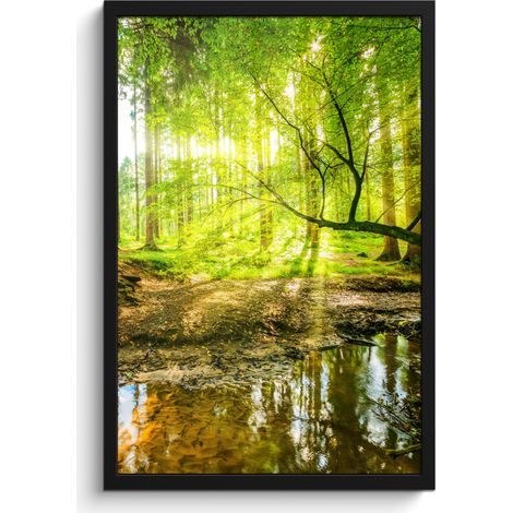 AFFICHE ENCADRÉE Forêt - Paysage - Eau - Arbres - Soleil - Vert - Nature Cadre Décoration Murale 40x60 (1/5)