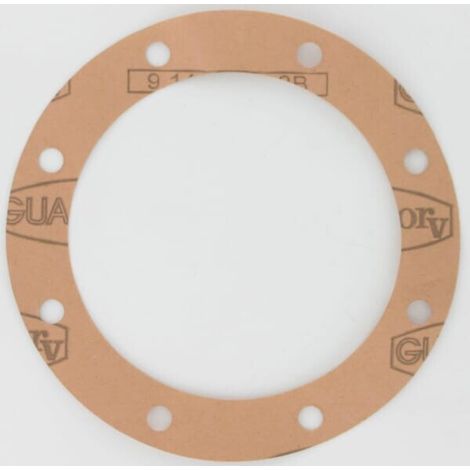 Dichtung M19100402R MASCHIO M19100402R