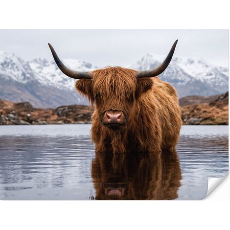 Papier Peint Highlander écossais - Marron - Eau 260x200 cm (1/5)