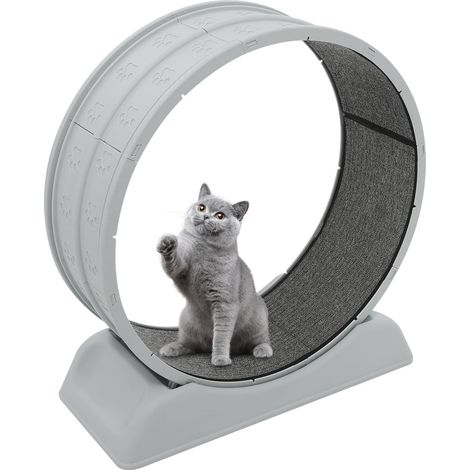 Roue d'exercice pour chat avec tapis et bâton de dentition, 79 x 34 x 84 cm, charge maximale : 10 kg, diamètre de la roue : 80 cm, pour grand chat, silencieuse, salon (gris)