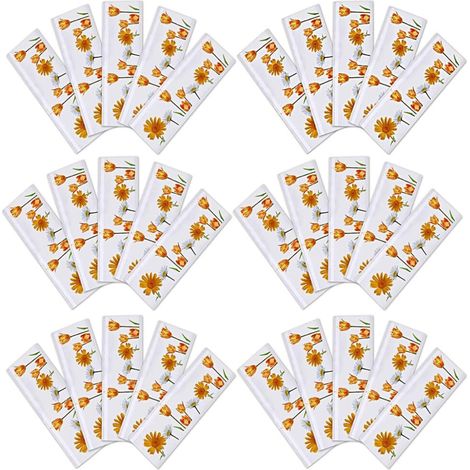 Attrape Moucherons de Terreau – Lot de 30 Pièges à Mouches Fenêtre Motif Tulipe Autocollant Anti (1/5)