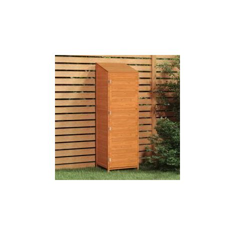 Remise de jardin Marron 55x52x174,5 Bois de sapin solide (1/5)
