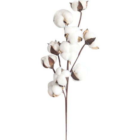 Bouquet de 10 fleurs de coton séchées naturelles, branches de kapok, fleurs éternelles stabilisées, DIY décoration florale blanche, accessoires d'artisanat pour composition (1/5)