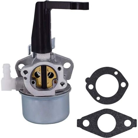 Carburateur compatible Briggs & Stratton 696065/697422 – Kit joints inclus pour moteurs 5 à 7 CV (110402, 110412, 215369), motoculteur Troy-Bilt, générateur, pompe (1/4)