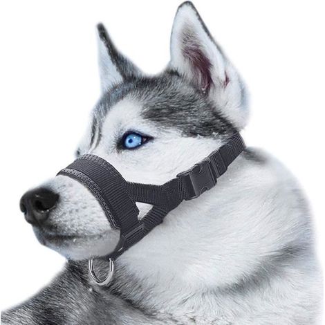 Muselière pour Chiens - LECOO - Anti-Morsure - Nylon Réglable - Tour de cou 16-28 cm - Tour de bouche 18-30 cm (1/4)