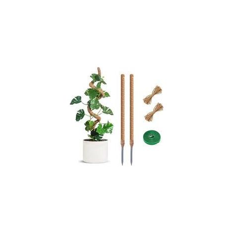 2Pcs Tuteur Plante 60Cm Pliable en Coco Support pour Plantes Grimpantes Extendable pour Jardin Maison (1/4)