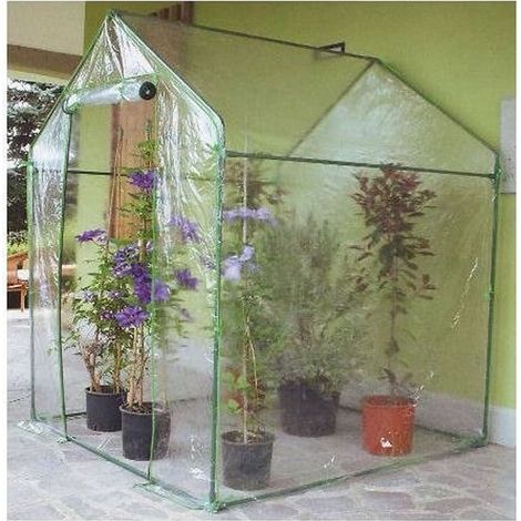 Clematis serra 155 x 155 x h 205 cm