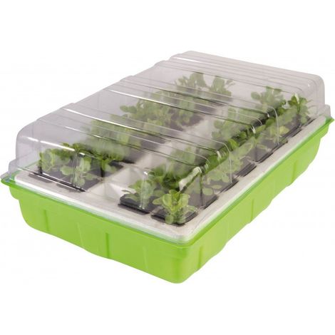 Terre Jardin – Kit de germination pour semis 40 godets – Mini serre auto-irrigante – Dimensions 39x25x12,5 cm – Pour légumes variés