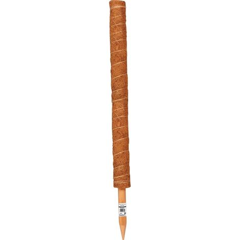 Tuteur Bois Coco 120cm
