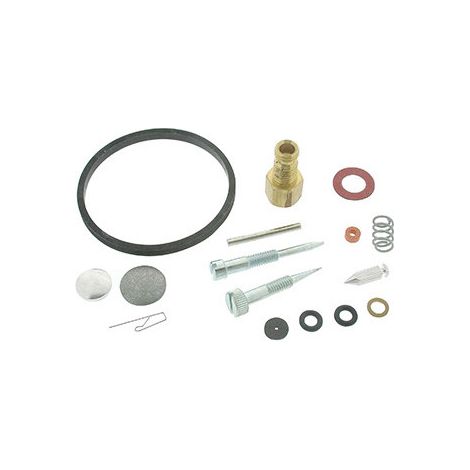 Kit riparazione TECUMSEH 31840