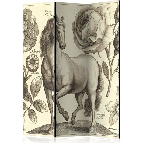 Paravent Décoratif Motif Cheval en Trompe-l'œil Élégant - Beige et Gris