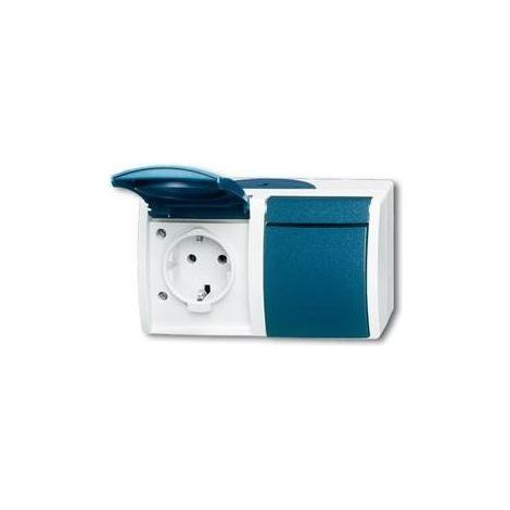 Busch-Jaeger Schuko-Steckdose 2f.gr/bgn waagerecht 20/2 EW-53 (1/5)