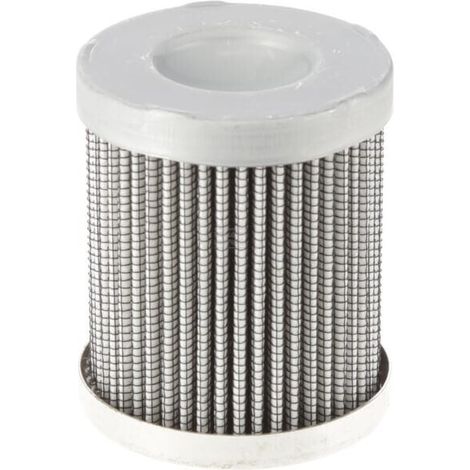 Filtro olidraulico ARGO-HYTOS R3060806 (1/4)