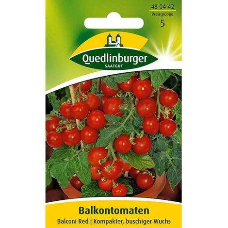 Balkontomaten, rote Mini Tomaten, für Balkon & Terrasse (1/5)