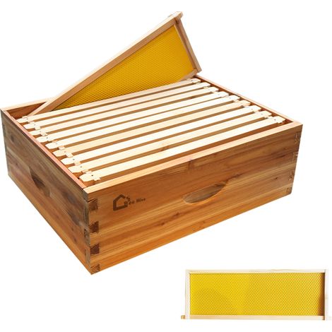 Kit ruche Langstroth 10 cadres en bois cèdre – Imprégné cire d'abeille naturelle – Protection contre intempéries – Montage ultra-rapide – Hydromotrix