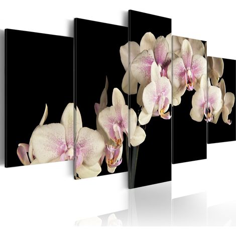 Quadro - Orchidea su sfondo contrastante - 100x50 (1/4)