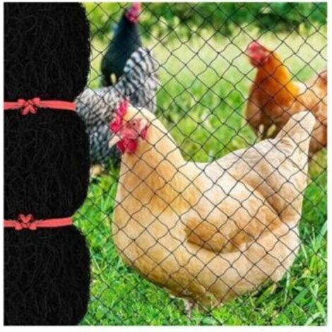 7.6 x 15.2 m anti-bird net with 2.5 cm square mesh, reusable garden net for chicken coop, nylon poultry net for deer fence to protect fruit trees from veg (1/5)