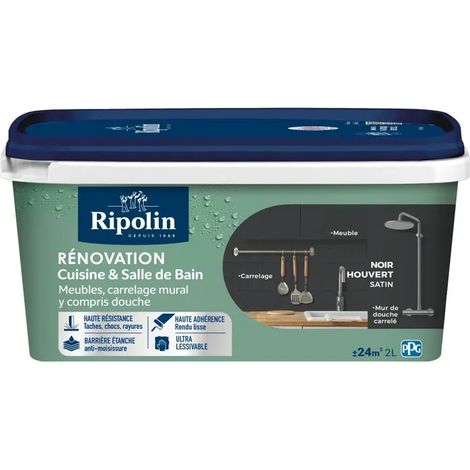 Farbe ripolin Satin Renovierung Multisurface 2L