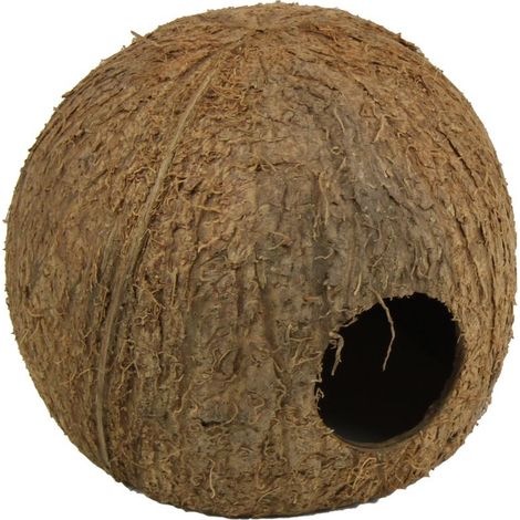 JBL Cocos Cava Größe L 3/4 Kokosnuss-Schale als Höhle für Aquarien und Terrarien