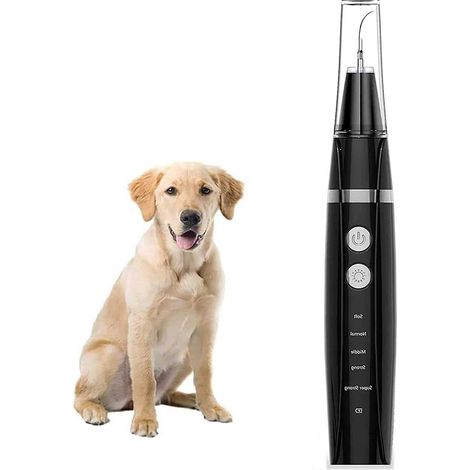 brosse Dents Lectrique Pour Chiens - Dtartreur Dentaire Chien, Outils De Toilettage Antidrapante Animaux Compagnie Kit D'outils Soins Dentaires (1/5)