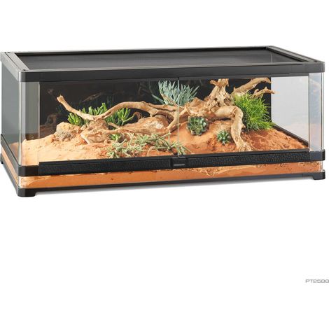 Terrarium panoramique 120x60x45cm – Ventilation réglable pour reptiles – Régulation température et humidité – Exo Terra Vista 120 (1/4)