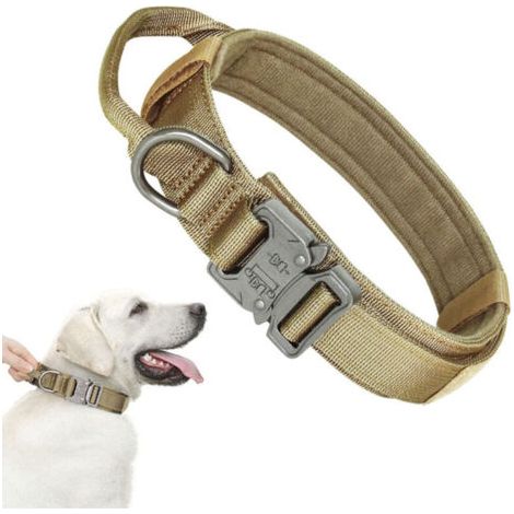 Pair Collier pour chien avec boucle métal, kaki, taille L (43-52 cm) (1/5)