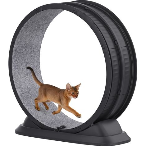 Roue d'exercice pour chat, ultra silencieuse, facile à nettoyer, Noir (1/2)