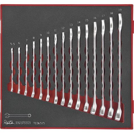 Jeu de clés mixtes Foam2 tray 5,5- 19mm 15 pièces Teng Tools TED6515 (1/2)