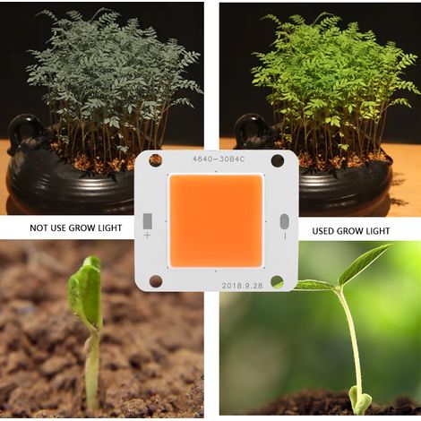 DC12V 50W COB LED-Chip Vollspektrum Pflanzenlampe Lichtquelle (1/5)