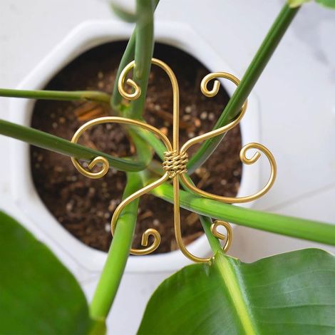 CCYKXA Set of 4 Metal Monstera Plant Supports – Durable stem supports with hooks for healthy growth and easy care of indoor plants (1/4)