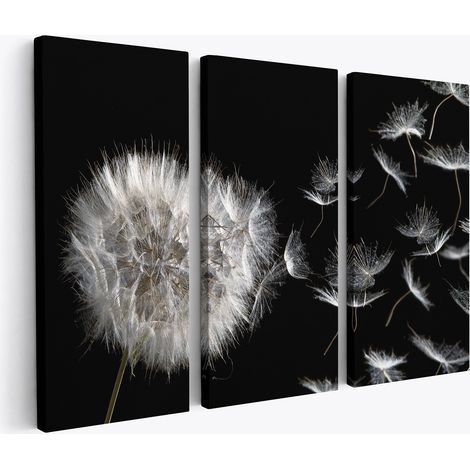 Tableau triptyque sur toile - Pissenlit (1/2)