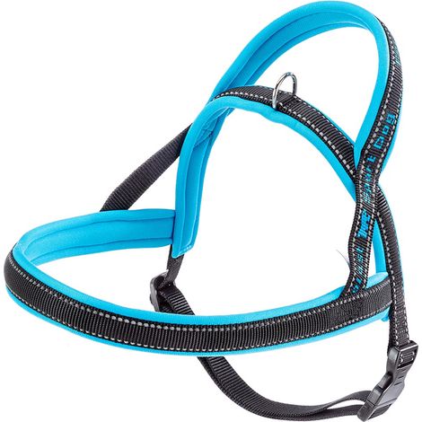 Ferplast SPORT DOG P Pettorina per cani con imbottitura soft. Varie misure e colori fluo.. Variante MEDIUM - Misure: A: 58 cm B: 69-86 cm - Blu