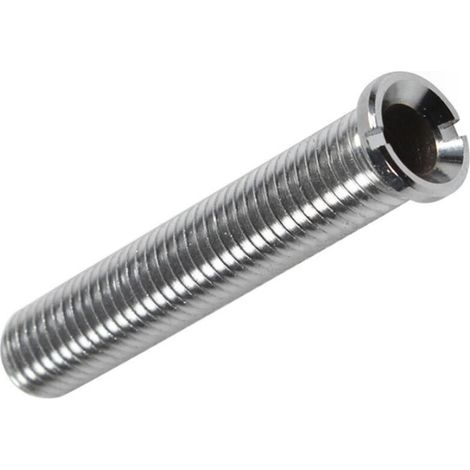Vis pour Panier d'Evier, Tirefond Cuisine, Verrouillage Etendu pour Bassine à Vaisselle en Inox, Evacuations Fixes M12 X 70mm (Argent) (1/5)
