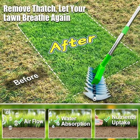 Manual Lawn Scarifier with Handle 163 cm, Rake Aerator Garden Waste Bag, for Cleaning Dead Lawns and Repairing Gardens (Grün, 163 cm) (1/5)