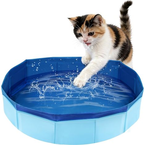 Piscina pequeña para gatos, piscina plegable pequeña para perros, piscina infantil para gatos de 5010 cm, bañera para perros, piscinas plegables para gatos, piscina infantil para mascotas, bañera para (1/5)