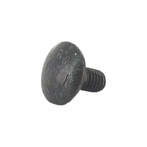 Vis bombée avec tête carrée M6 x 12mm GGP - CASTELGARDEN 112815205/0