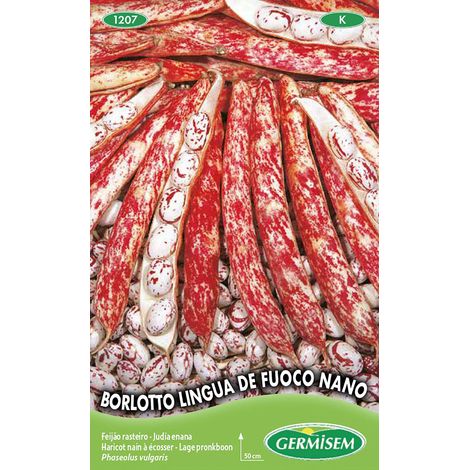 Germisem Borlotto Lingua de Fuoco Nano Semi di Fagioli Francesi 100 g (1/2)