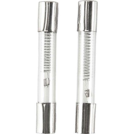 2 x 0,65 A 5 kV 6 mm x 40 mm Axial-Glassicherungsröhren für Mini-Wave-Ofen Edition 0702