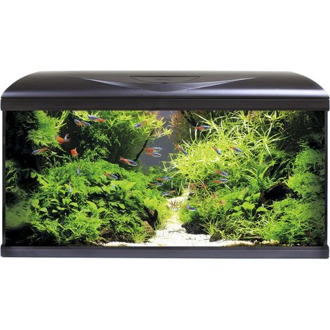 AMTRA SYSTEM TANK V2 80 LED BLACK