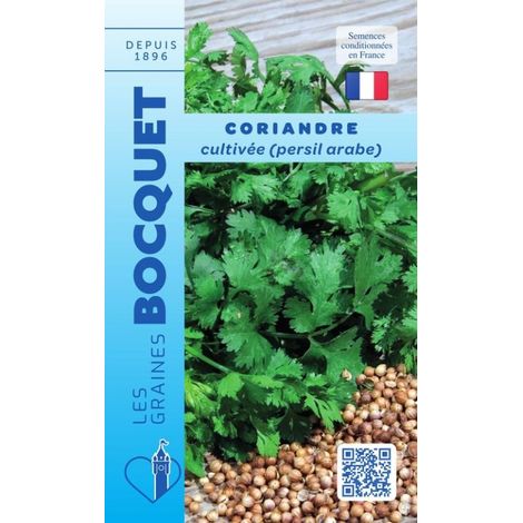 Coriandre cultivée - 5g