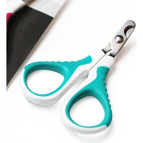 coupe Griffes Chat Professionnels, Coupe Ongle Animaux De Compagnie Pour Chiots, Chatons, Cochons D'inde, Oiseaux, Hamsters Et Lapins, Ciseaux On (1/5)