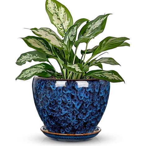 Pot de fleurs en céramique, diamètre : 15 cm, avec soucoupe et trous de drainage, cache-pot rond, pour plantes d'intérieur, fleurs, extérieur, jardin, moderne, décoration d'intérieur (1/5)