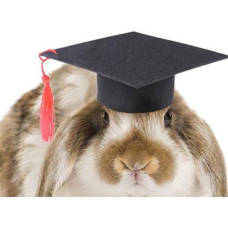 Pet Graduation Caps Pet Caps Graduation Hat for Dogs Soft Cute (1/5)