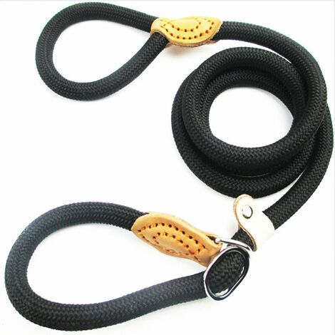1.5 m Laisse de Chien en Nylon,Noir Corde Laisse Chien,Laisse Chien Corde,Laisse Dressage Chien,Laisse Coulissante,Laisse Lasso pour Chien,Collier Laisse Chien pour Petits et Moyens Chiens (1/5)